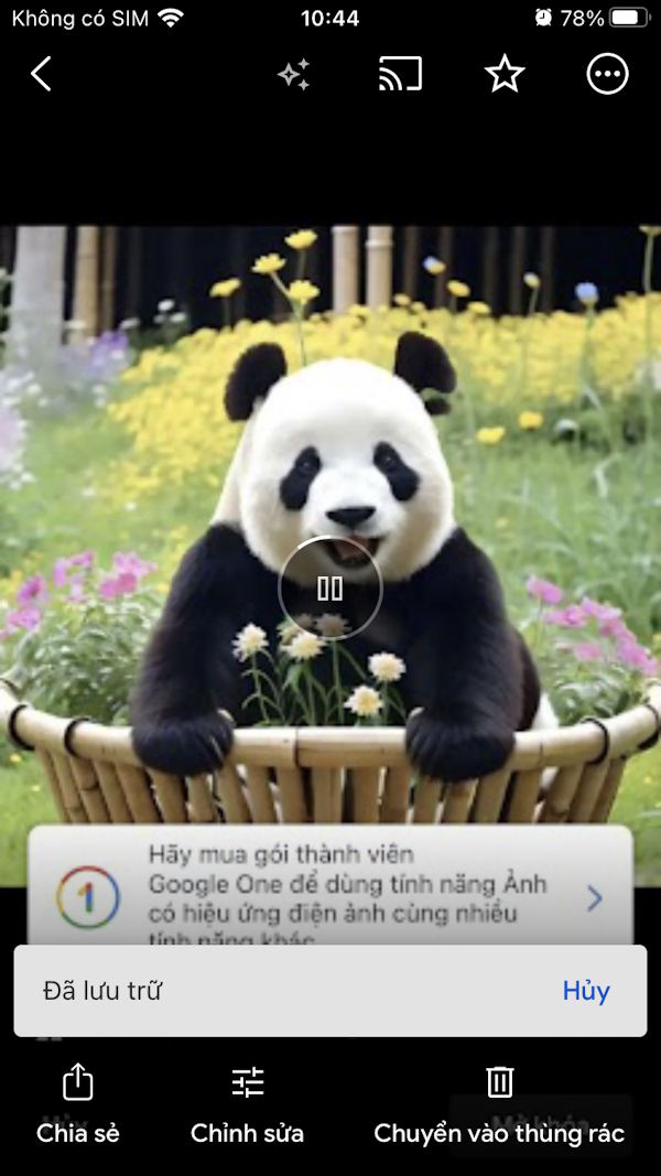 Hình ảnh đã lưu trữ