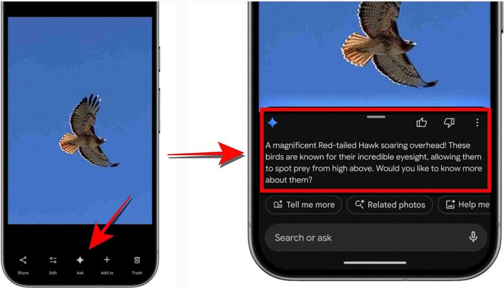 Nhận thông tin qua nút Ask