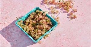 Dấu hiệu thừa chất xơ có thể bạn chưa biết