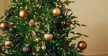 Có nên để đèn trang trí cây thông Noel sáng suốt đêm?