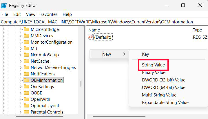 Đặt giá trị Model mới