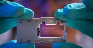 Những đột phá khoa học trong năm 2025 có thể thay đổi mọi thứ