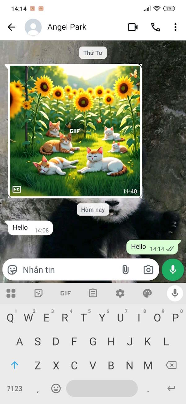 Tin nhắn WhatsApp