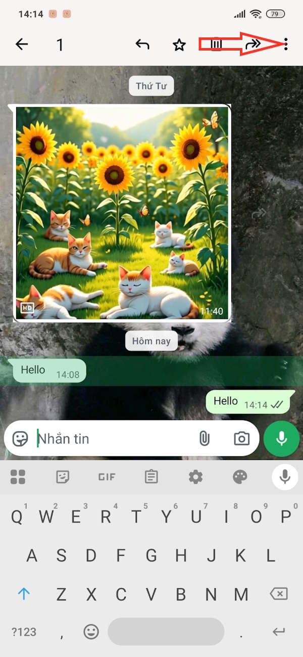 Tùy chọn tin nhắn WhatsApp