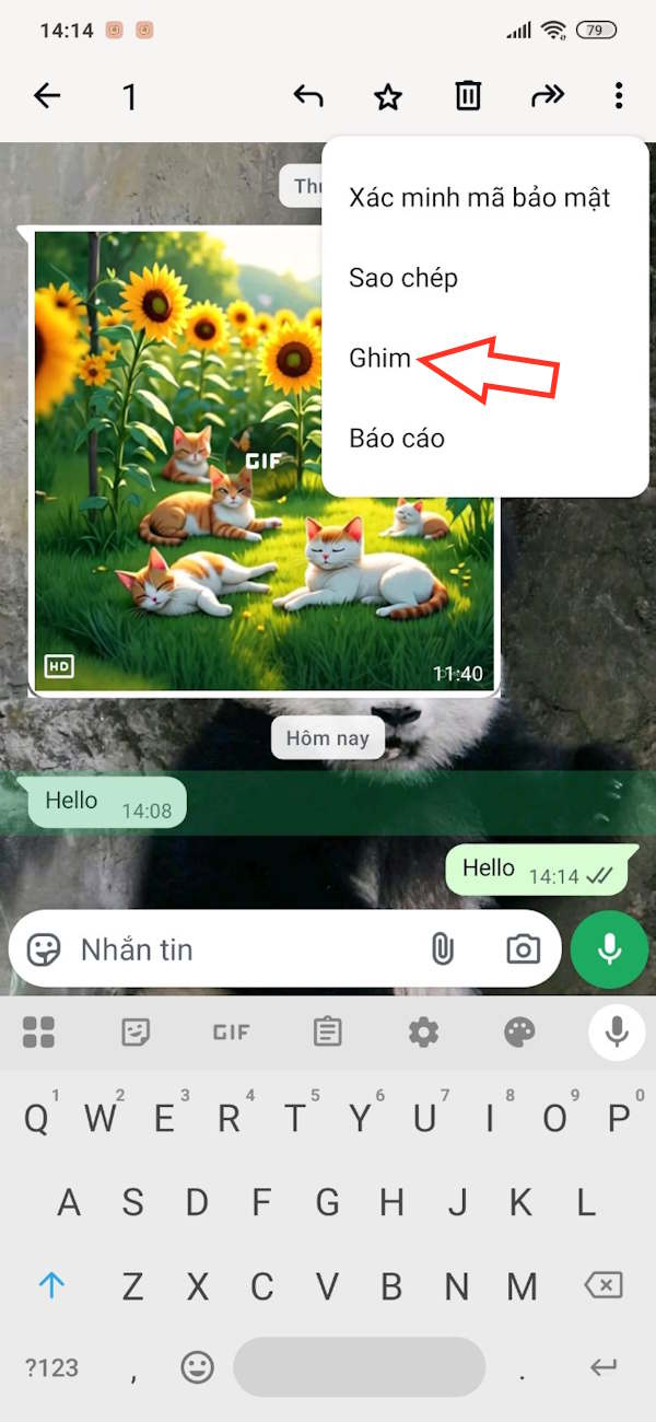 Ghim tin nhắn WhatsApp