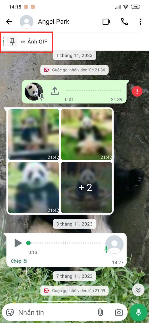 Các tin nhắn đã ghim 