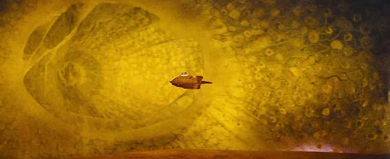 Internet of beings cũng có nhược điểm