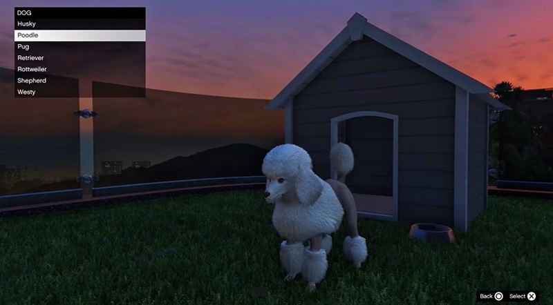 pet gta online