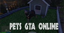 Hướng dẫn sở hữu Pets trong GTA Online Mansion Update