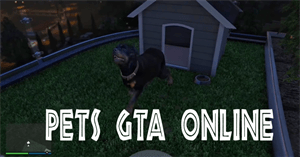 Hướng dẫn sở hữu Pets trong GTA Online Mansion Update