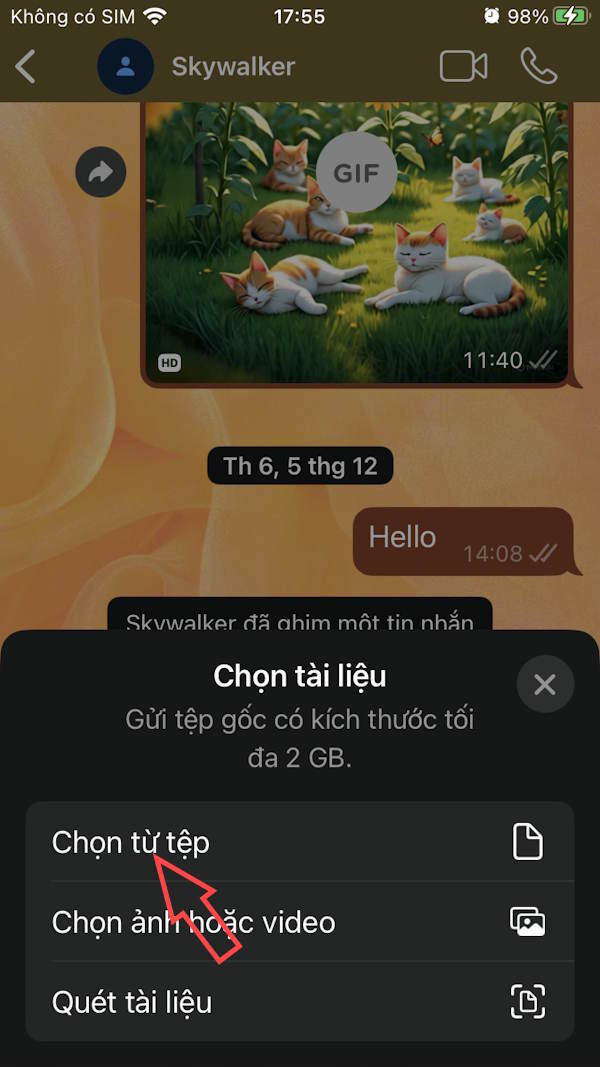 Chọn từ tập tin