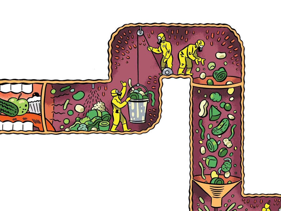 Đánh giá hệ vi sinh đường ruột