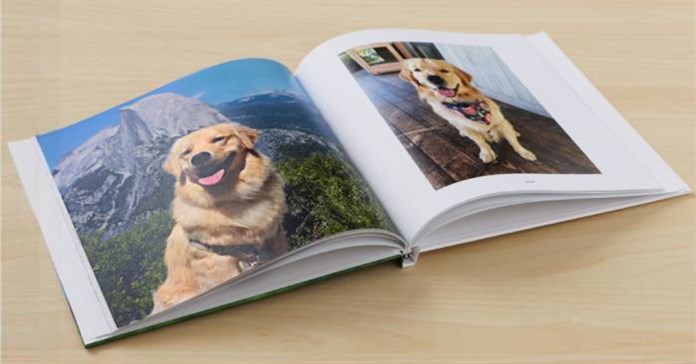 Tính năng ít được biết đến này của Google Photos rất lý tưởng để lưu giữ những kỷ niệm