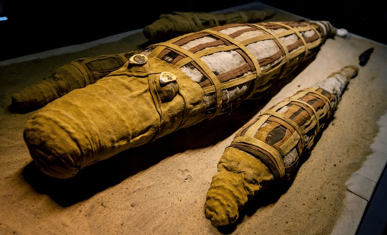 Xác ướp cá sấu