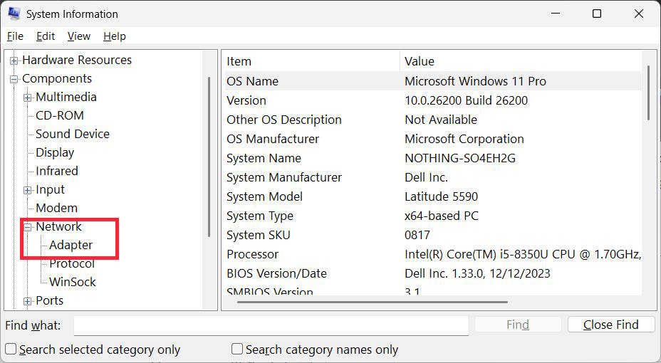 Công cụ System Information xem thông tin Network Adapter