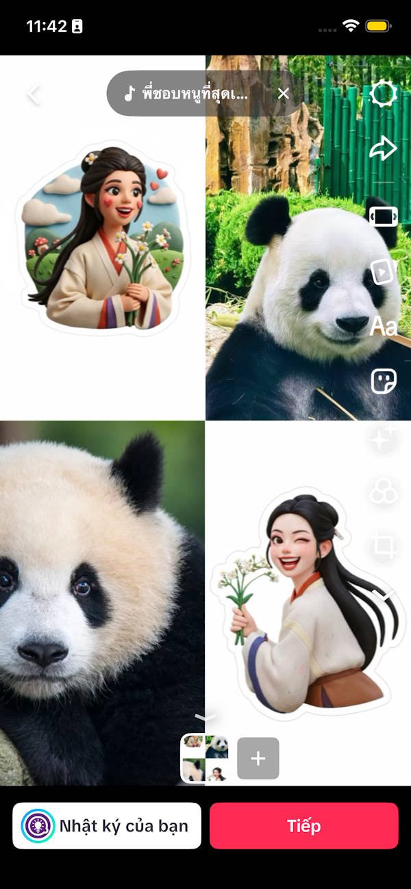 Ảnh ghép trên TikTok