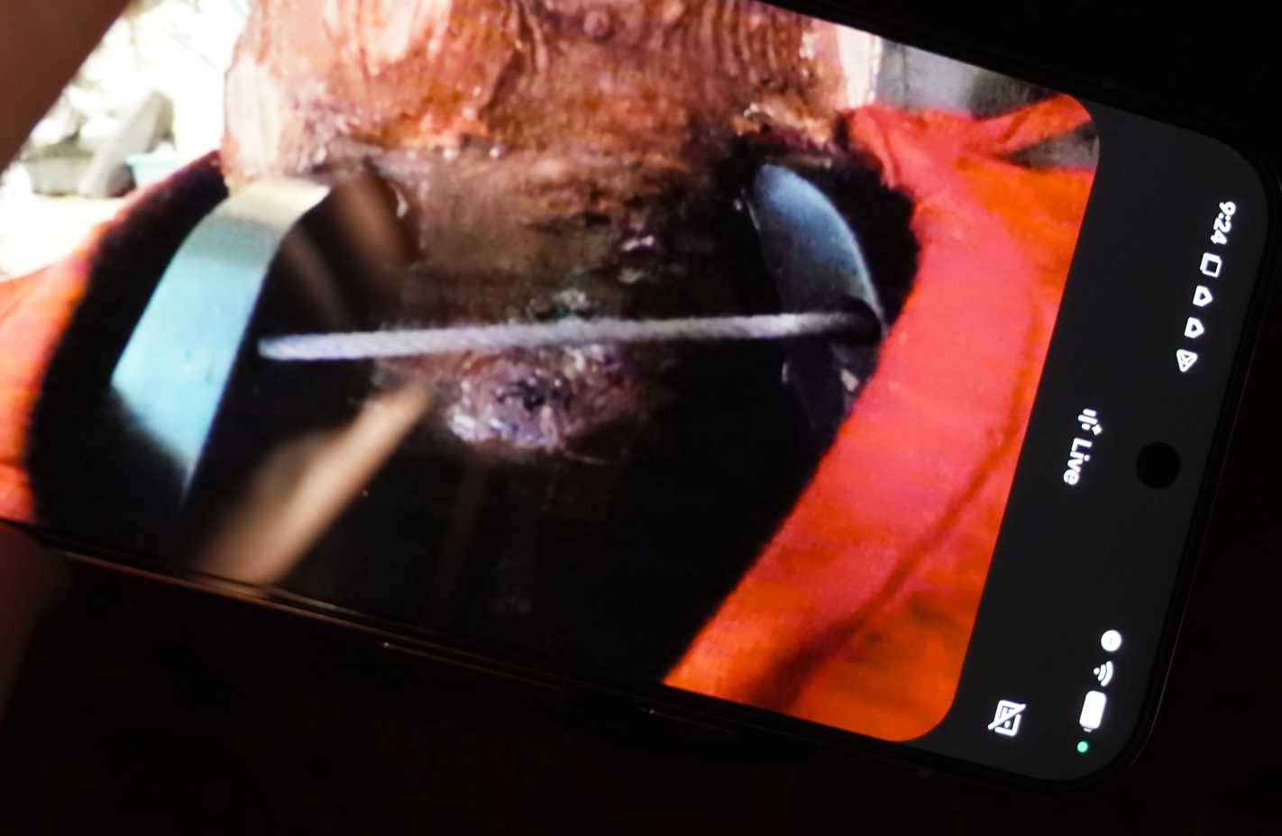 Gemini Live hỗ trợ lắp đặt giá đỡ cây thông Noel