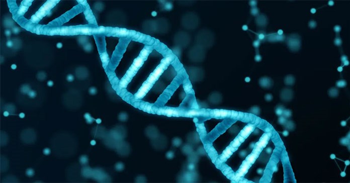 Các nhà khoa học lần đầu công bố bản đồ 4D chi tiết nhất của bộ gene người