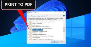 Hướng dẫn xóa tùy chọn Microsoft Print to PDF Windows 11