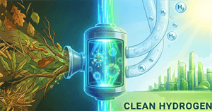 Biến rác thải thực vật thành chất xúc tác sản xuất Hydro sạch