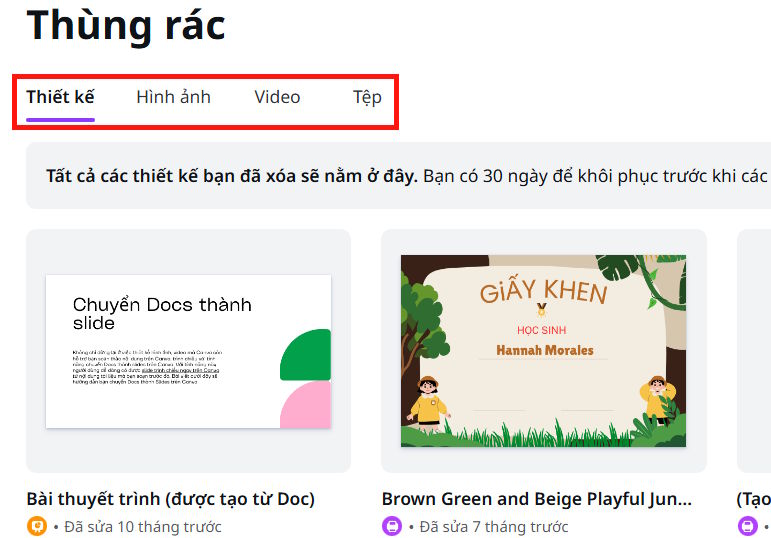 Thể loại dữ liệu Canva 