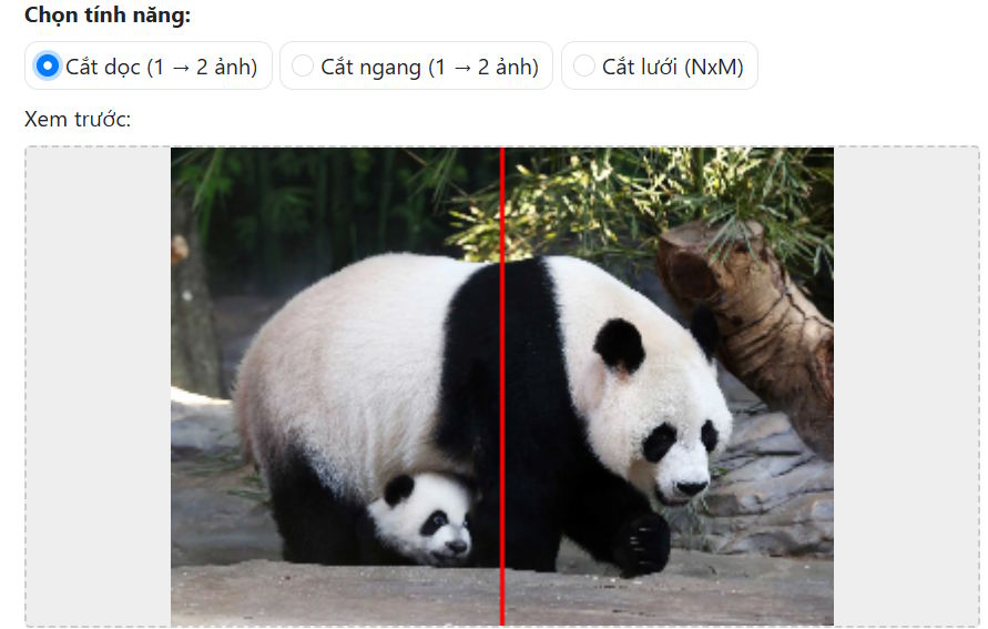 Chọn kiểu cắt ảnh