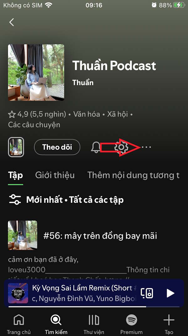 Tùy chỉnh podcast