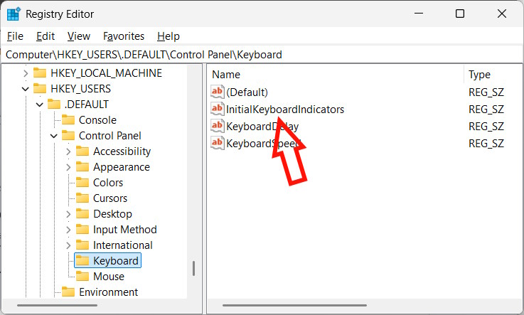Chỉnh giá trị InitialKeyboardIndicators