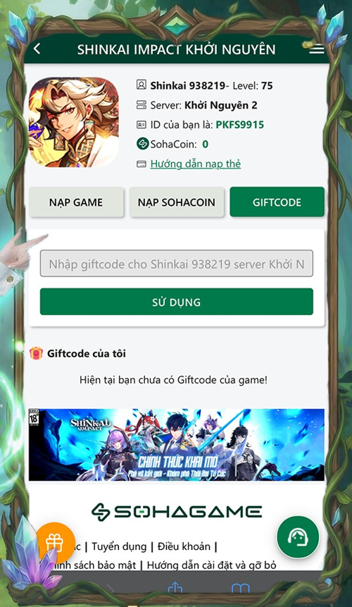 shinkai impact khoi nguyen