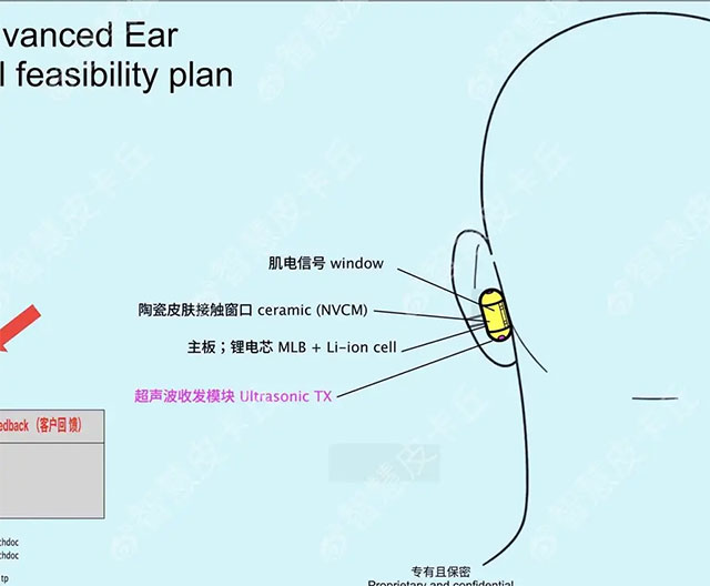 “Sweetpea” có thể ra mắt vào năm 2026
