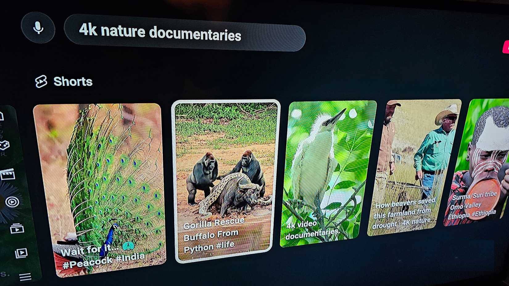 Một loạt các video YouTube Shorts với nội dung được tạo ra bằng AI xuất hiện trong kết quả tìm kiếm