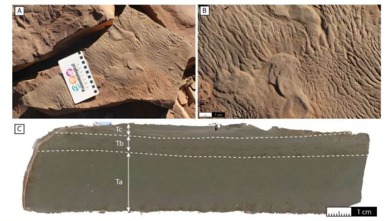 Một khám phá đáng ngạc nhiên trong các tầng đá dưới đáy biển sâu cho thấy sự sống vi sinh vật có thể để lại dấu vết ở những nơi mà các nhà khoa học chưa từng ngờ tới, định hình lại cách các nhà nghiên cứu tìm kiếm sự sống sơ khai trên Trái đất.