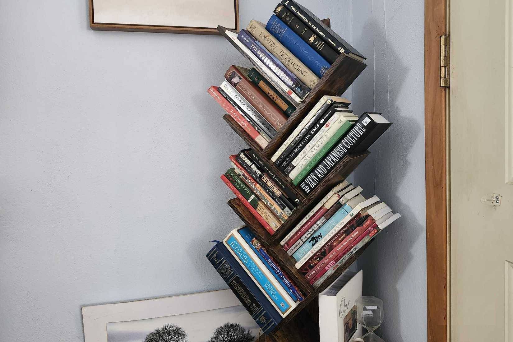 Giá sách trong nhà, chứa đầy các loại sách khác nhau