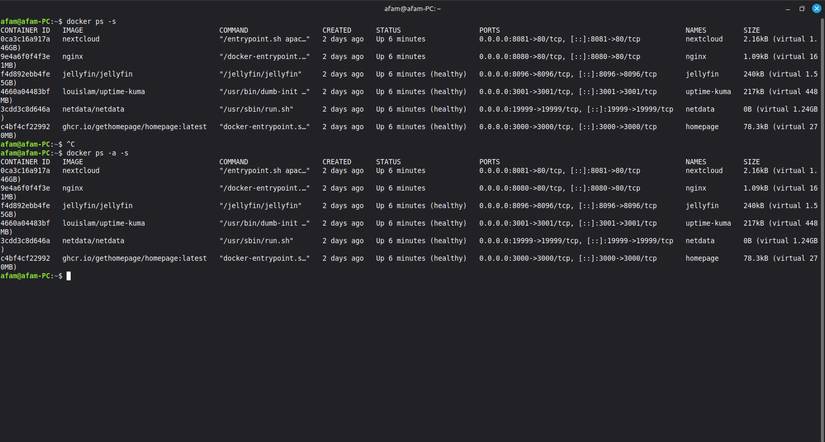 Kích thước Docker container trên Linux Mint