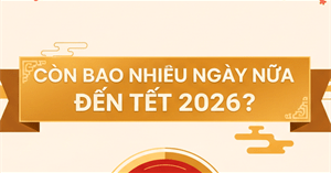 Còn bao nhiêu ngày nữa đến Tết 2026? Đếm ngược Tết Bính Ngọ