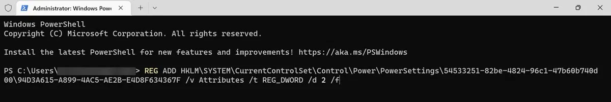 Đang thực thi lệnh trong PowerShell