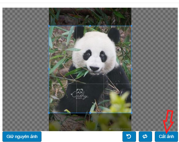 Tải ảnh chèn vào bao lì xì