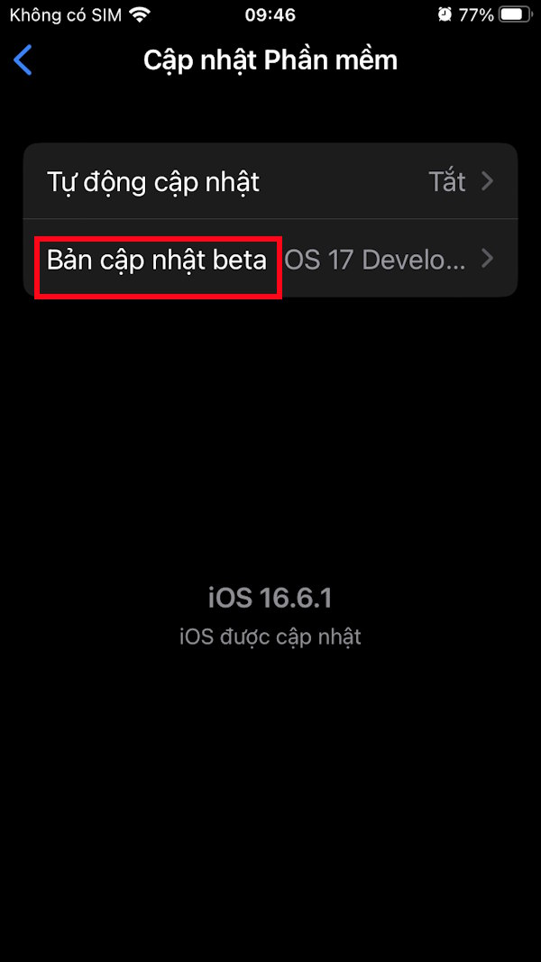 Bản cập nhật beta trên iPhone