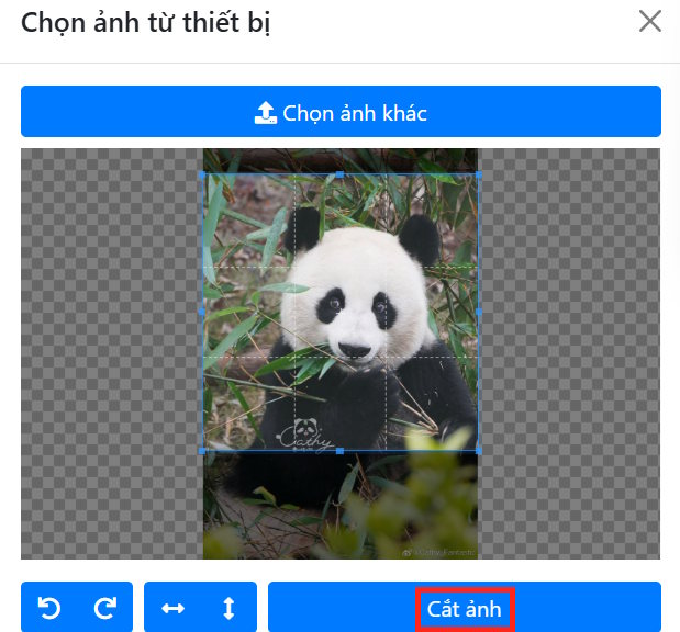 Cắt hình ảnh 