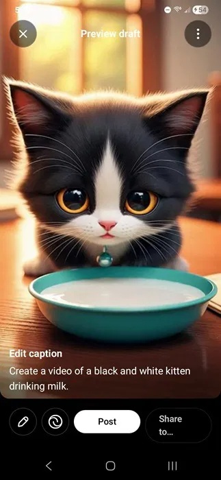 Video mèo con đen trắng được tạo bằng Sora