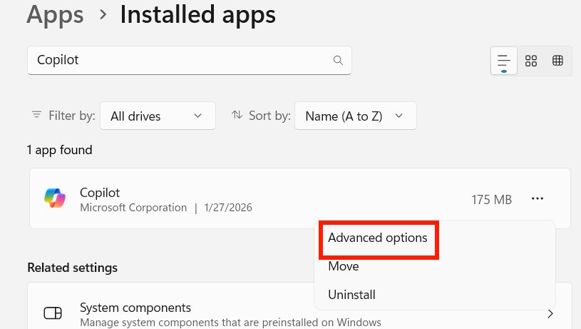 Cài đặt Copilot nâng cao