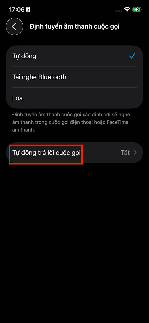 Trả lời tự động trên iPhone