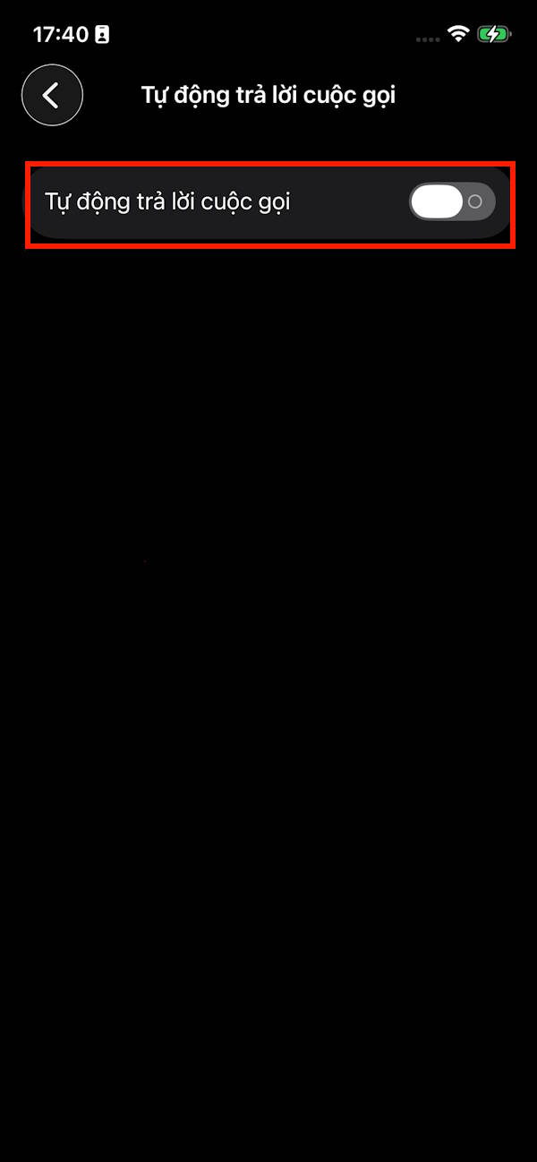 Bật trả lời cuộc gọi tự động trên iPhone
