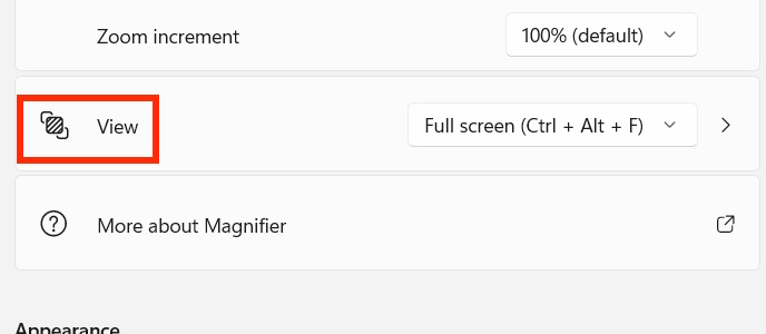 Chế độ View trên Magnifier