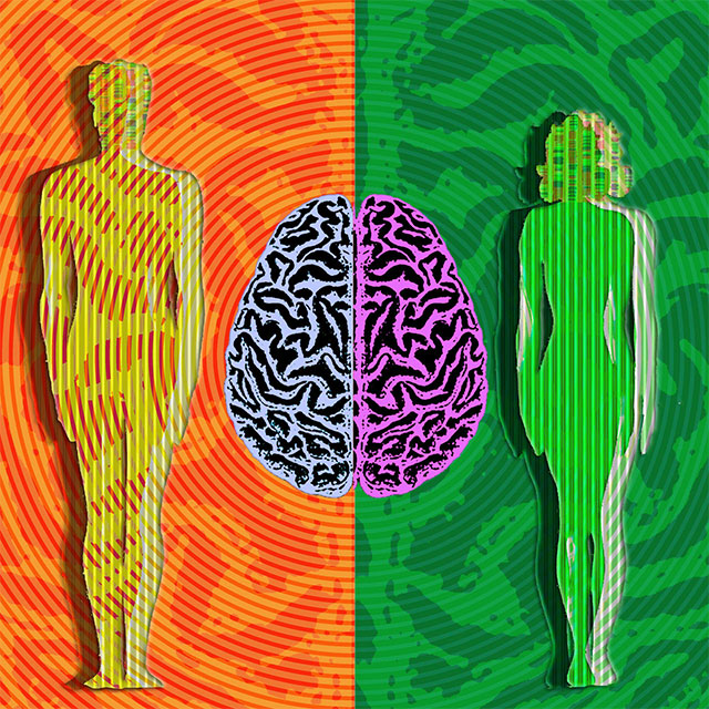 Nghiên cứu mới phát hiện não bộ nam và nữ đã khác nhau từ trong bụng mẹ 