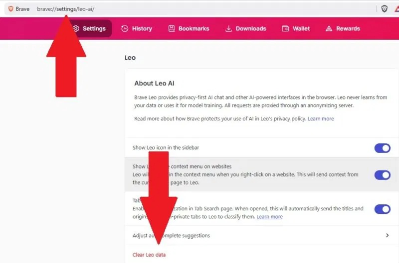 Sử dụng Ask Brave để tìm kiếm AI riêng tư và xóa dữ liệu Leo
