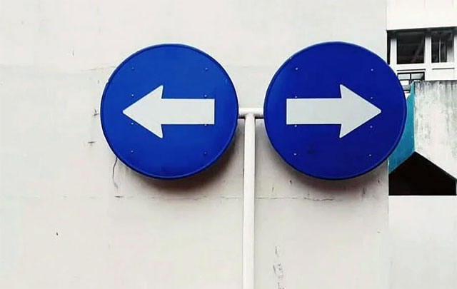 Khoa học lý giải tại sao chúng ta thường tự quyết định chuyện lớn thay vì nghe lời khuyên