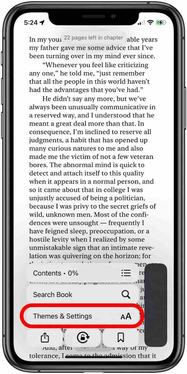 Tùy chọn cài giao diện trên Apple Books