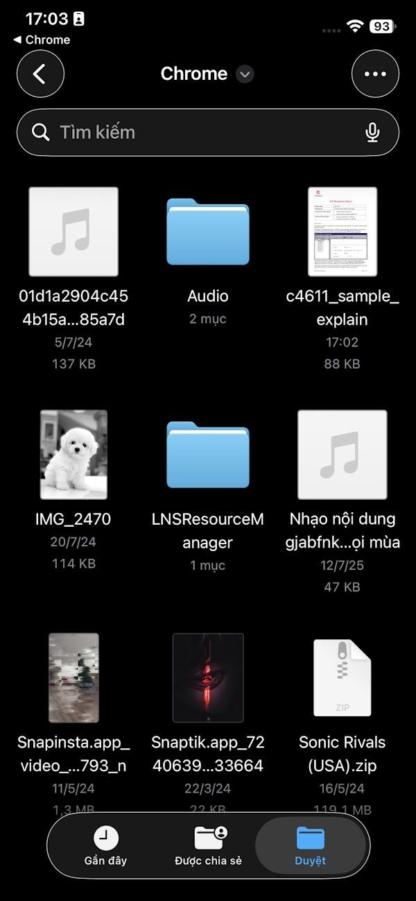 File PDF đã tải trên Chrome