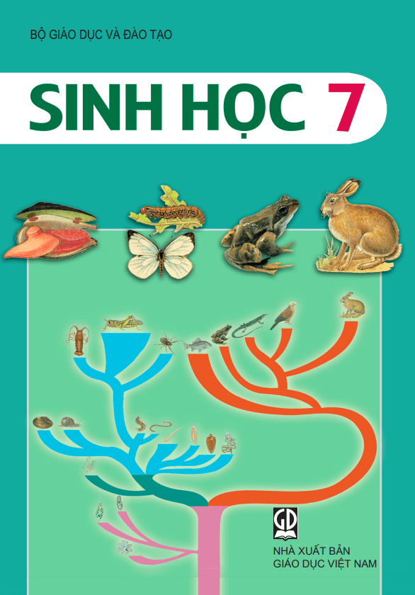 prompt slide thuyết trình bài sinh học lớp 7